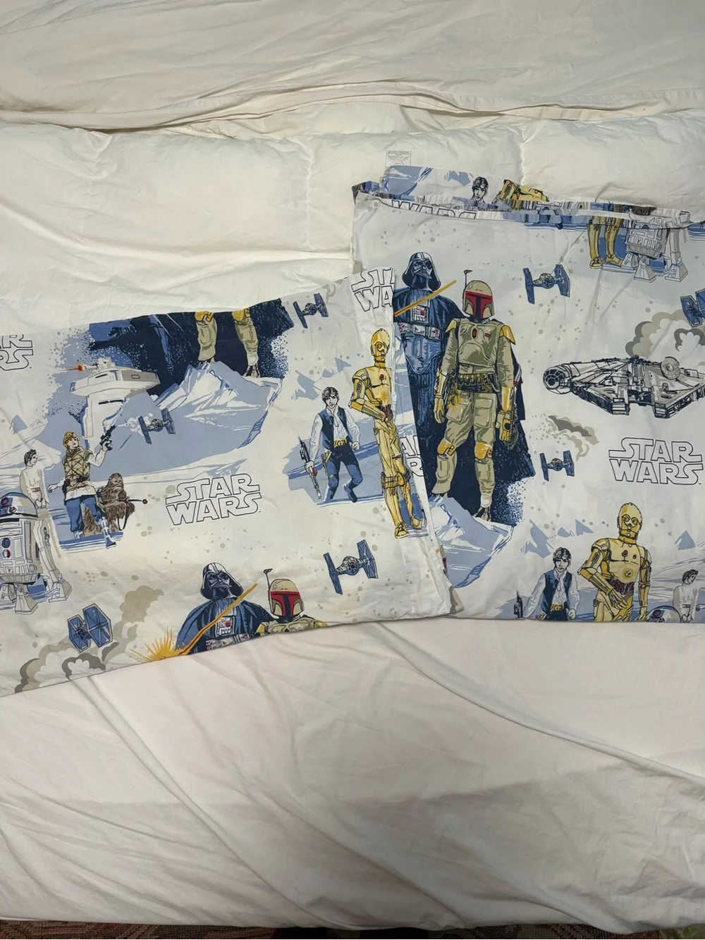 Pottery Barn Star Wars: The Empire Strikes Back flat sheet and pillow case